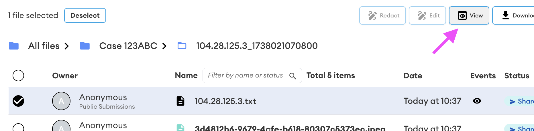 File list with the text file 104.28.125.3.txt selected; the View button is highlighted with a pink arrow pointing to it.