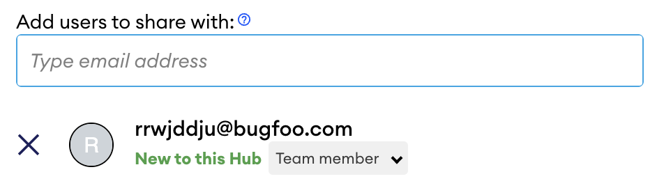 Form field to add a user by email address; the entry shows "New to this Hub" status and a "Team member" user type dropdown.