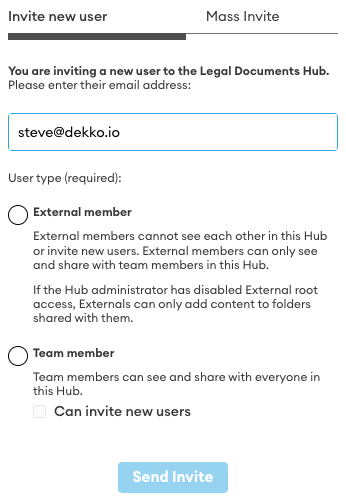 Invite new user form with email field filled in as steve@dekko.io, and User type options External member and Team member, with a Can invite new users checkbox under Team member.